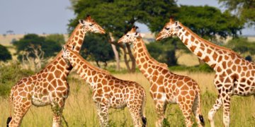 Warhol, Giraffes and Lighthouses: Free N.J. Day Trip Ideas