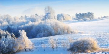 Ski resorts now not just for winter anymore