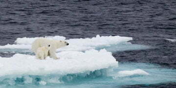 Climate Change Villain: Can the Travel Industry Avoid a Bad Reputation?