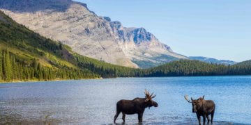 Montana Bookshelf: Summer tour guides to parks, trails and quirky diversions