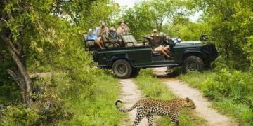 Anand Mahindra praises Raipur’s jungle safari and oxy-zone