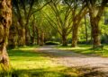 Tom Sawyer RV Park – The Best RV Park in South Lake Tahoe