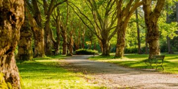 Tom Sawyer RV Park – The Best RV Park in South Lake Tahoe