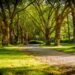 Tom Sawyer RV Park – The Best RV Park in South Lake Tahoe